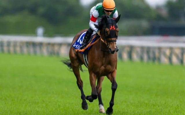 【毎日王冠登録馬】レイパパレなど10頭