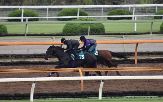 シュヴァルグランなど兄・姉にGI馬3頭 良血馬グランヴィノスが始動/関西馬メイクデビュー情報