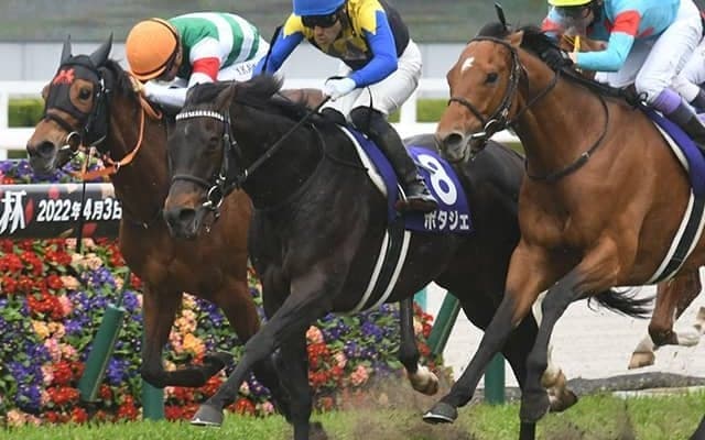 【AI予想・毎日王冠】凱旋門賞の鬱憤は「この馬」で晴らす!? 名門厩舎が送り出す実力馬に注目