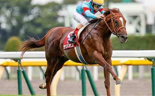 【毎日王冠想定騎手】サリオスは松山弘平騎手、レイパパレは川田将雅騎手