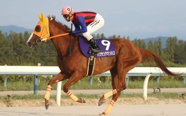 重賞13勝のハクサンアマゾネスが強力中央馬に挑む/金沢・白山大賞典注目馬