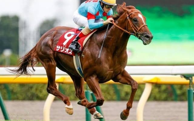 【毎日王冠予想オッズ】サリオスが予想1番人気