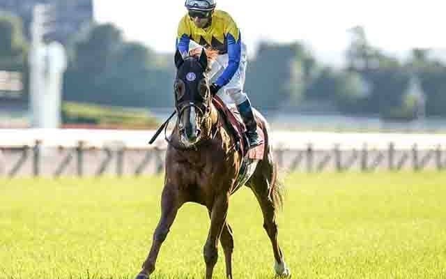 【京都大賞典想定騎手】ボッケリーニは浜中俊騎手、アリストテレスは鮫島克駿騎手