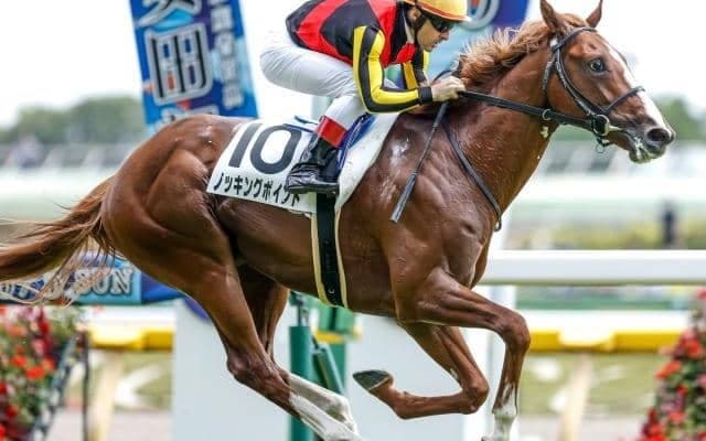 【サウジアラビアRC予想オッズ】ノッキングポイントが予想1番人気