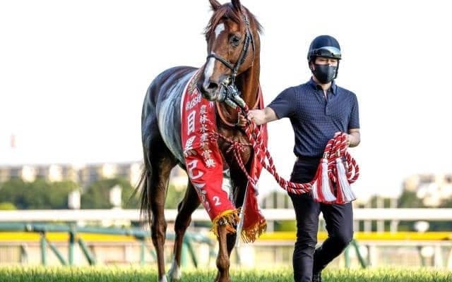 【京都大賞典予想オッズ】ボッケリーニが予想1番人気