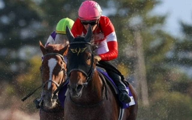 【東京盃】レッドルゼルは大外へ