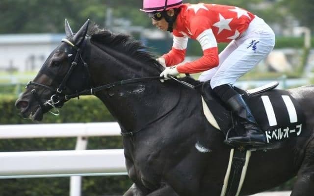 【毎日王冠展望】開幕週のスピードレース、あの馬に期待したい