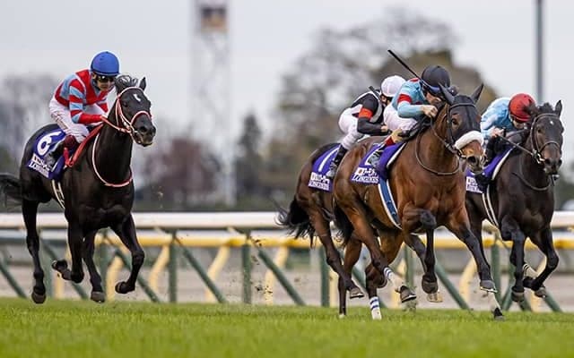 競馬ファンが選ぶ史上最高の『名勝負』JRAアンケート結果が発表 障害戦も上位にランクイン