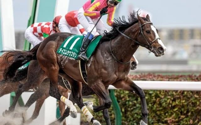 蛯名正義師に重賞初タイトルプレゼントなるか/大井・東京盃注目馬