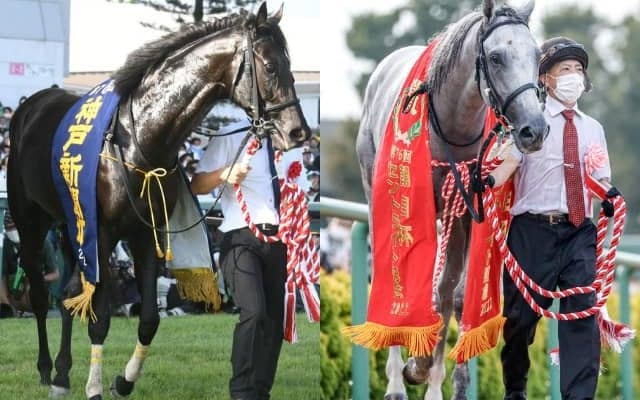 牡馬クラシック戦線を盛り上げた実績馬と夏の上がり馬が激突 菊花賞(GI)出走想定馬22頭