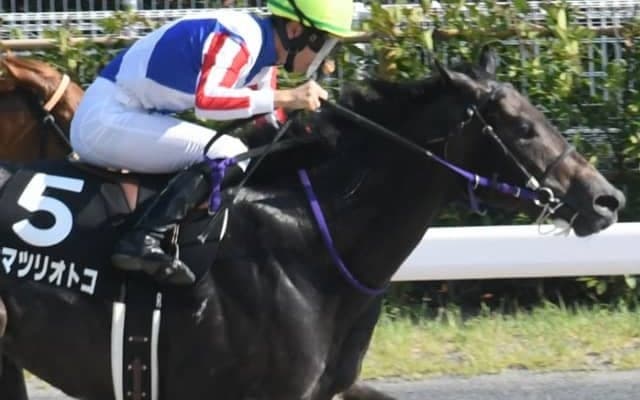 ダート全勝の”お祭り男”は2歳ダート路線の大一番を目標に 父にビッグタイトルプレゼント狙う