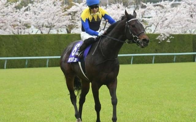 【毎日王冠予想】人気の中心となるかは微妙なところだが、AIが指名した手頃な一頭とは…？