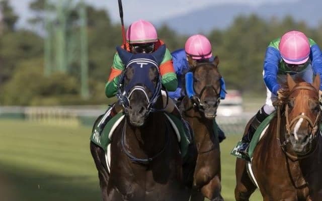 【京都大賞典展望】昨年に続き阪神開催、舞台の2400mは末脚勝負になりやすい