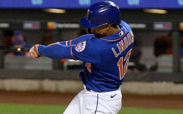 【MLB】「めっちゃ可愛い」犬が“HRキャッチ”する珍事　ファンほっこり「癒された」