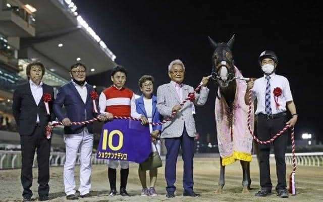 砂の女王ショウナンナデシコが始動戦迎える/大井・レディスプレリュード注目馬