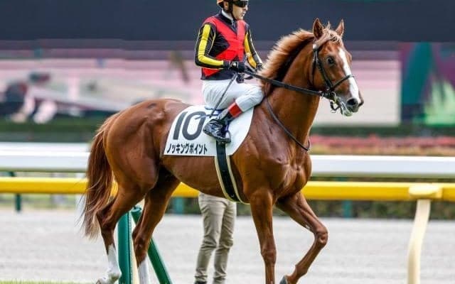 【サウジアラビアRC出走馬・騎手確定】ノッキングポイント＆C.ルメール騎手、シルヴァーデューク＆戸崎圭太騎手など9頭