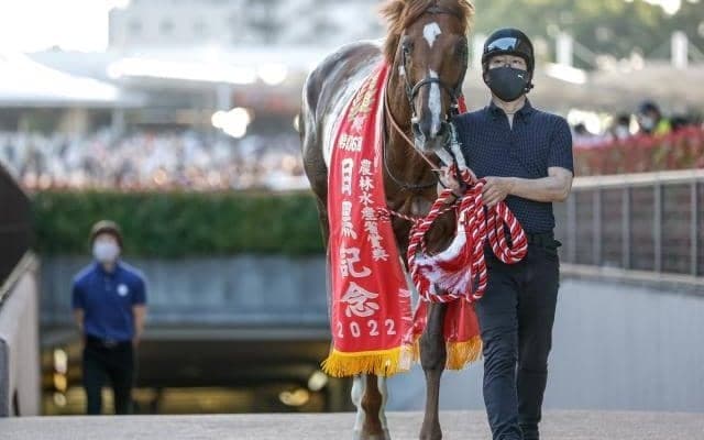 【京都大賞典出走馬・騎手確定】ボッケリーニ＆浜中俊騎手、アリストテレス＆鮫島克駿騎手など14頭