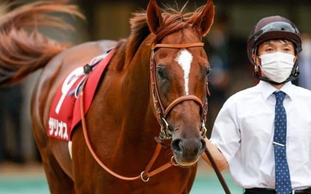 【毎日王冠出走馬・騎手確定】サリオス＆松山弘平騎手、レイパパレ＆川田将雅騎手など10頭