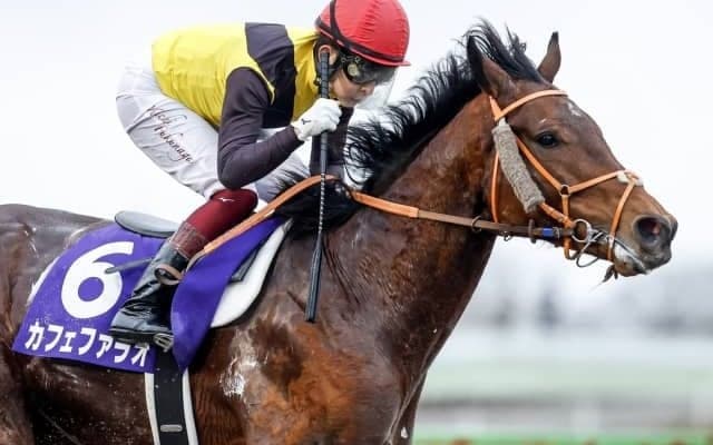 【盛岡・マイルCS南部杯出走予定馬】カフェファラオ、アルクトスら