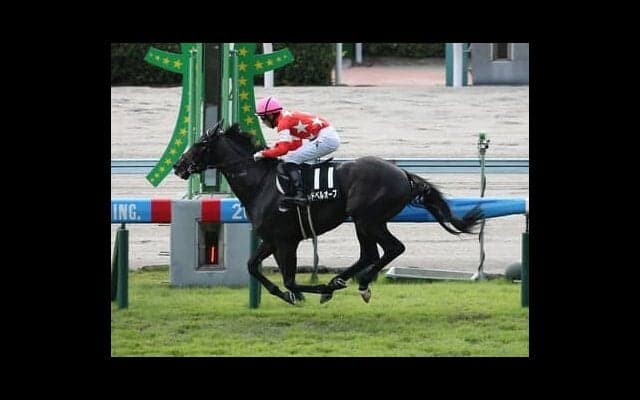 毎日王冠はディープインパクト産駒が推し。秋の東京の幕開けをスピード自慢の２頭が飾るか