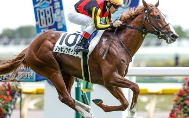 【サウジアラビアRC枠順確定】ノッキングポイントは5枠5番、シルヴァーデュークは8枠8番