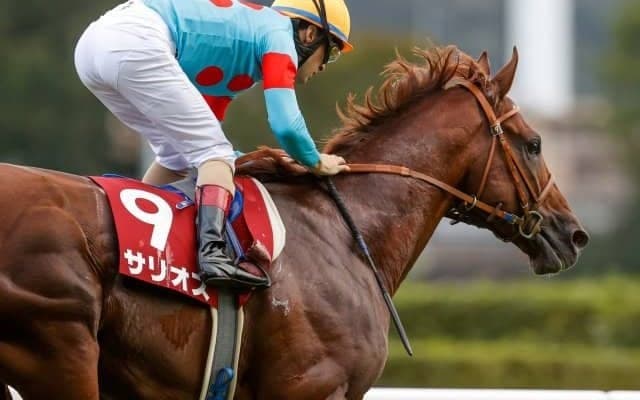 【毎日王冠枠順確定】サリオスは3枠3番、レイパパレは5枠5番