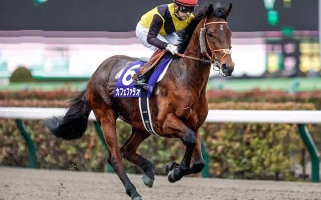 【盛岡・マイルCS南部杯枠順確定】カフェファラオは2枠4番、アルクトスは5枠9番