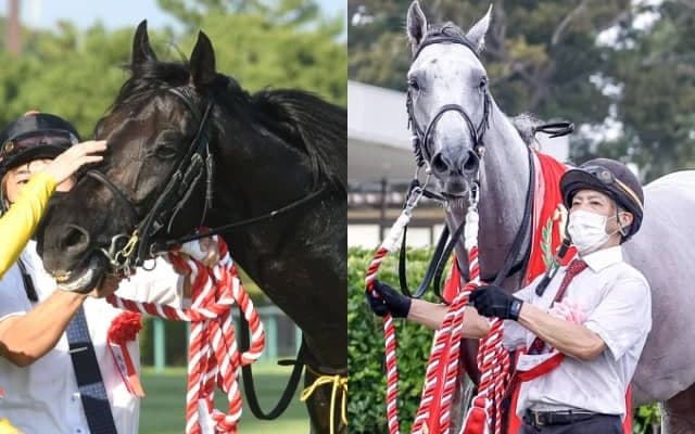 東西トライアル覇者が激突 牡馬クラシック最終戦・菊花賞に22頭が登録予定