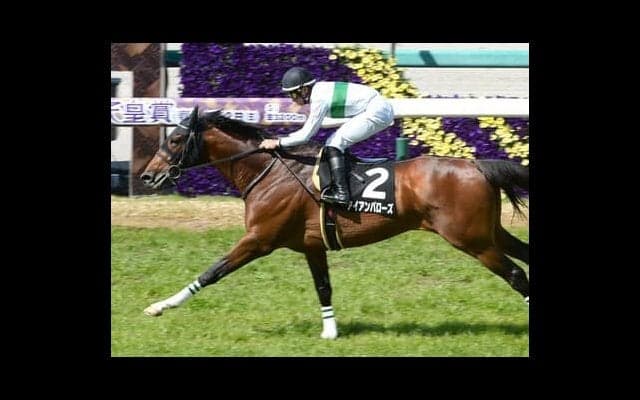 京都大賞典は「ステイゴールド×メジロマックイーン」の血が騒ぐ。狙いは芝2400ｍにピッタリの隠れた実力馬２頭