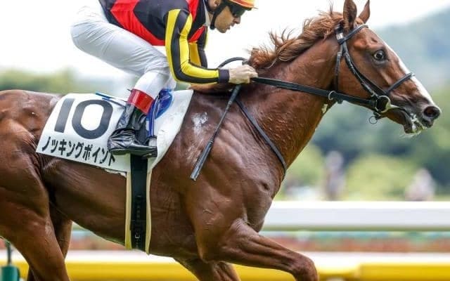 【サウジアラビアRC予想】過去の優勝馬にはGI馬ズラリ　来年のクラシック戦線を占う重要な一戦