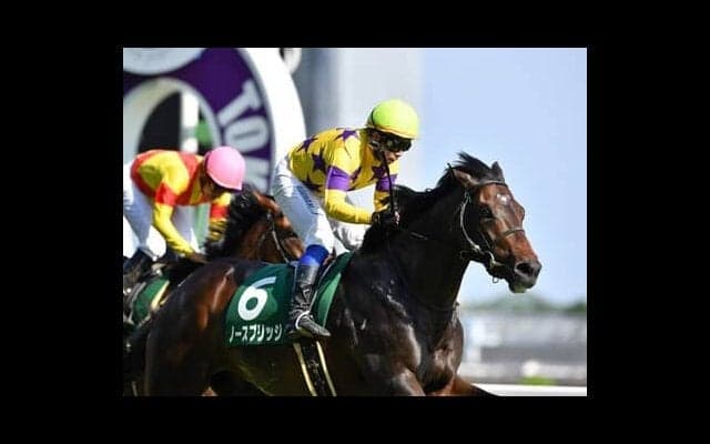 毎日王冠に臨むＧＩ馬４頭にはつけ入る隙あり。期待は上昇ムードにある素質馬２頭の激走