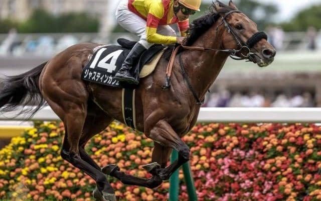 【毎日王冠予想】ポテンシャルはGI級!? 団子状態で一発狙えるピンかパーの「オススメ穴馬」とは