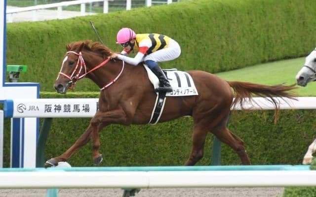 【阪神6R新馬戦結果】コンティノアールが押し切って人気に応える