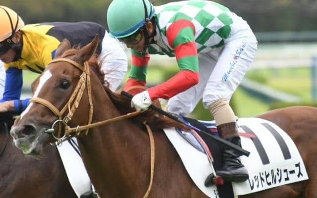 【阪神5R新馬戦結果】レッドヒルシューズが接戦を制す