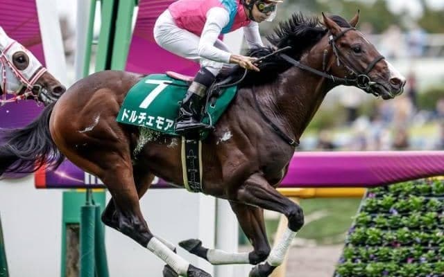 【サウジアラビアRC結果】桜花賞馬アユサンの仔ドルチェモアが大逃げを差し切り無傷2連勝