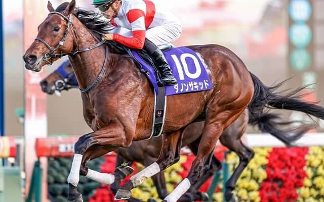 【毎日王冠予想】斤量減が逆効果!? 勝利から遠ざかる「あの馬」の巻き返しは…