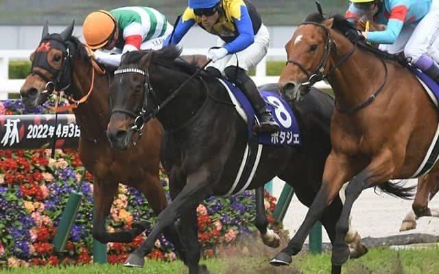 【AI予想・毎日王冠】やはり「あの馬」しかいない!? 週初から一貫した絶対的「◎」