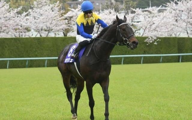 【今日の注目ポイント】東京メインの毎日王冠でGI馬4頭が激突