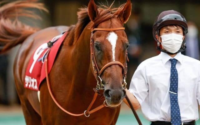 【毎日王冠予想】秋の府中開幕を告げるGII　天皇賞・秋への優先出走権を懸けた一戦
