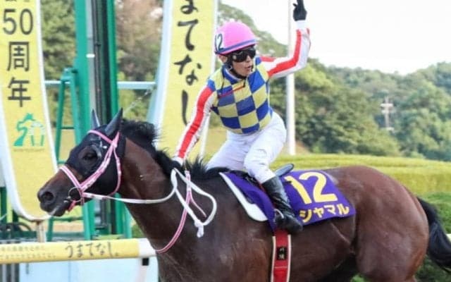 【南部杯】JRA出走予定馬