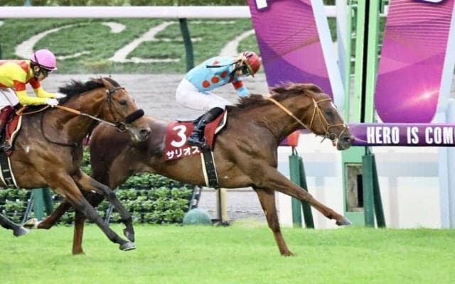 【毎日王冠】サリオスが力でねじ伏せる！レコードV