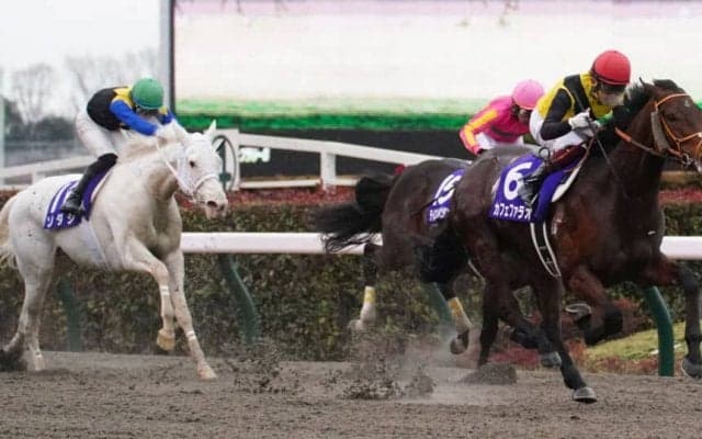 【南部杯】カフェファラオは2枠4番