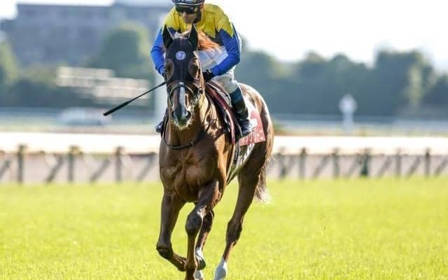 【今日の注目ポイント】阪神で京都大賞典、盛岡ではマイルCS南部杯