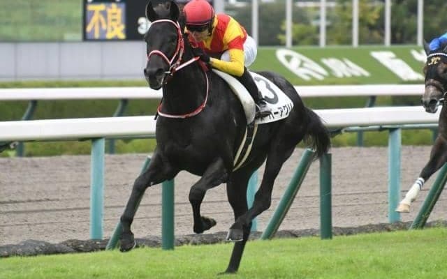 【阪神4R新馬戦結果】スーパーアグリが勝利　矢作厩舎は今週の新馬戦4戦4勝