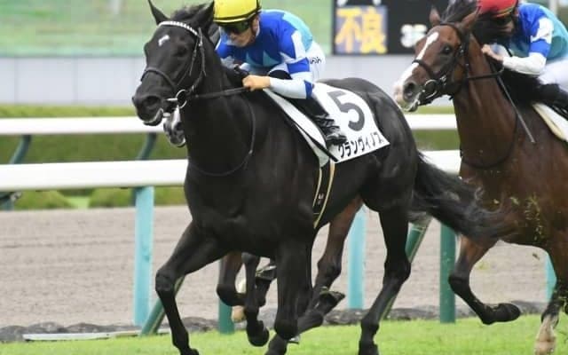 【阪神5R新馬戦結果】兄姉にGI馬3頭の良血グランヴィノスが白星発進