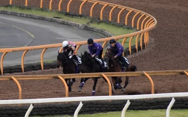 母は8戦無敗で仏G1を2勝 ルモンドブリエが初陣/関西馬メイクデビュー情報/関西馬メイクデビュー情報