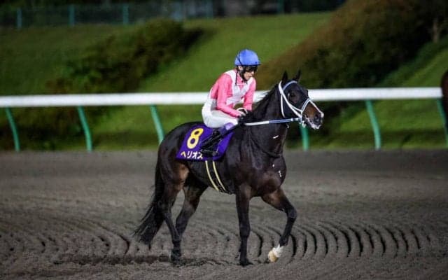 【南部杯】武豊「手応えがひと息」ヘリオスは勝ちに等しい2着