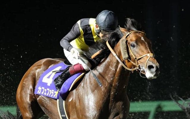 【南部杯】福永「内を見ないようにした」レース後ジョッキーコメント