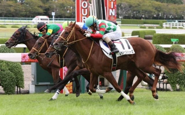 【新馬/阪神5R】ハーツクライ産駒 レッドヒルシューズがデビューV