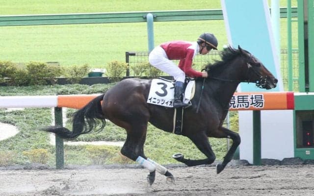 【新馬/東京4R】ネロ産駒 イニッツィオがデビューV